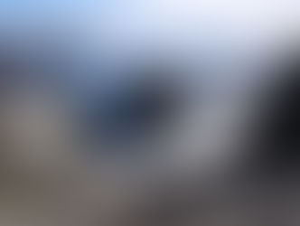 Waste Site Story: A bittersweet success story on the waste of Brabant Island, Antarctic Peninsula.