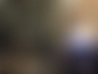 Arctic Science meets Policy: A (not so) brief report