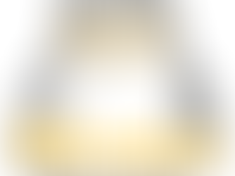 BETWEEN LONELINESS AND EXCITEMENT: THE ROLLERCOASTER RIDE OF PURSUING A PHD