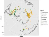 R: Animate time-series occurrence data