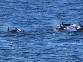 An Office with a View