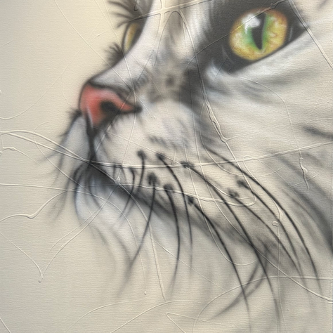 Portrait de chat.