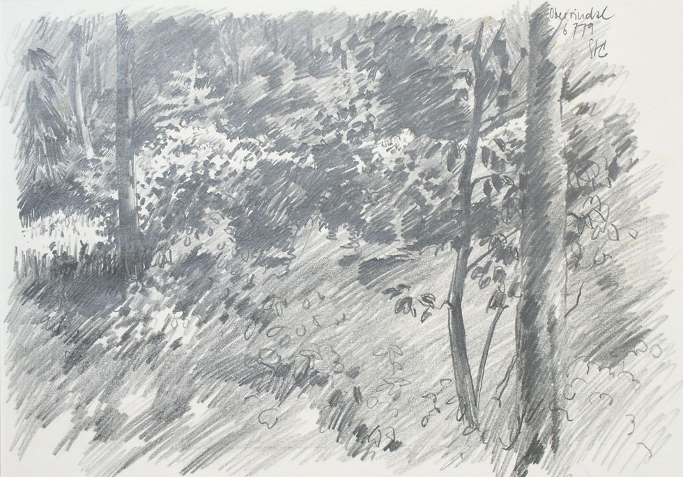 z - baum und strauch - 34