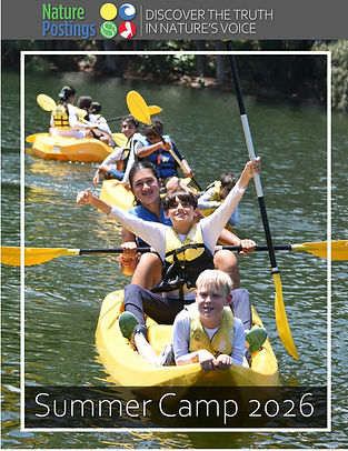 Summer Camp Guide 2026 .jpg