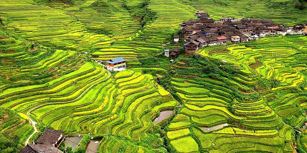 Longji Rice Terraces