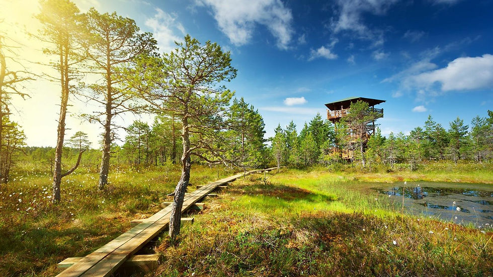 Lahemaa National Park