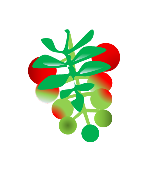 ブドウ（笠原）