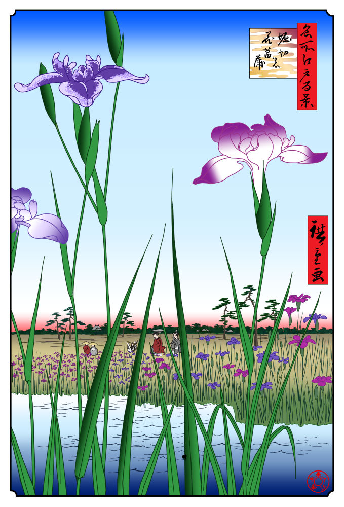 堀切の花菖蒲_1000