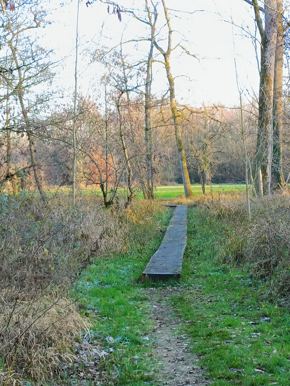 Natuurwandeling Laakvalleien & Varenbroek. 16km. 