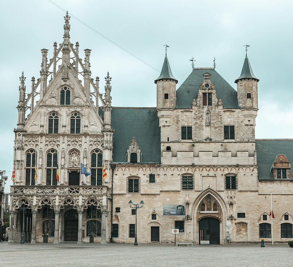 Ludieke stadswandeling door Mechelen met gids.