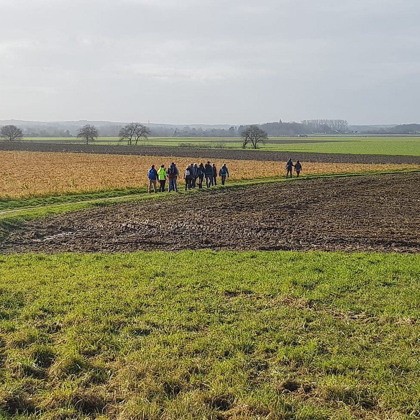 Knotwilgenwandeling Ternat, 14.5km.