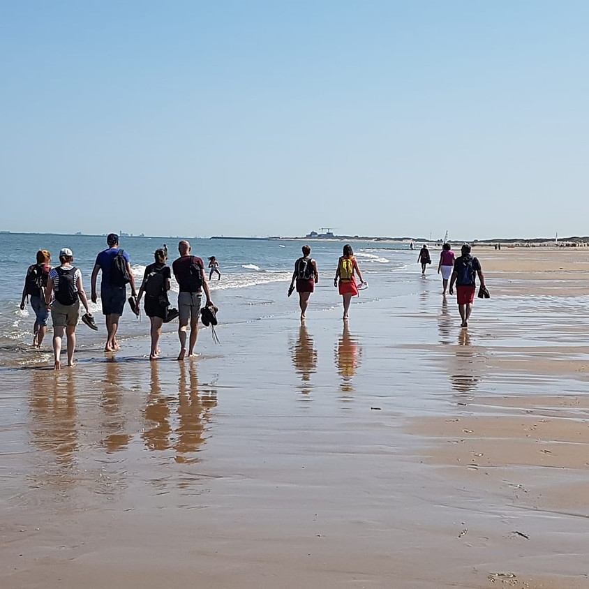 Sportieve wandeling aan de zee. 18km.