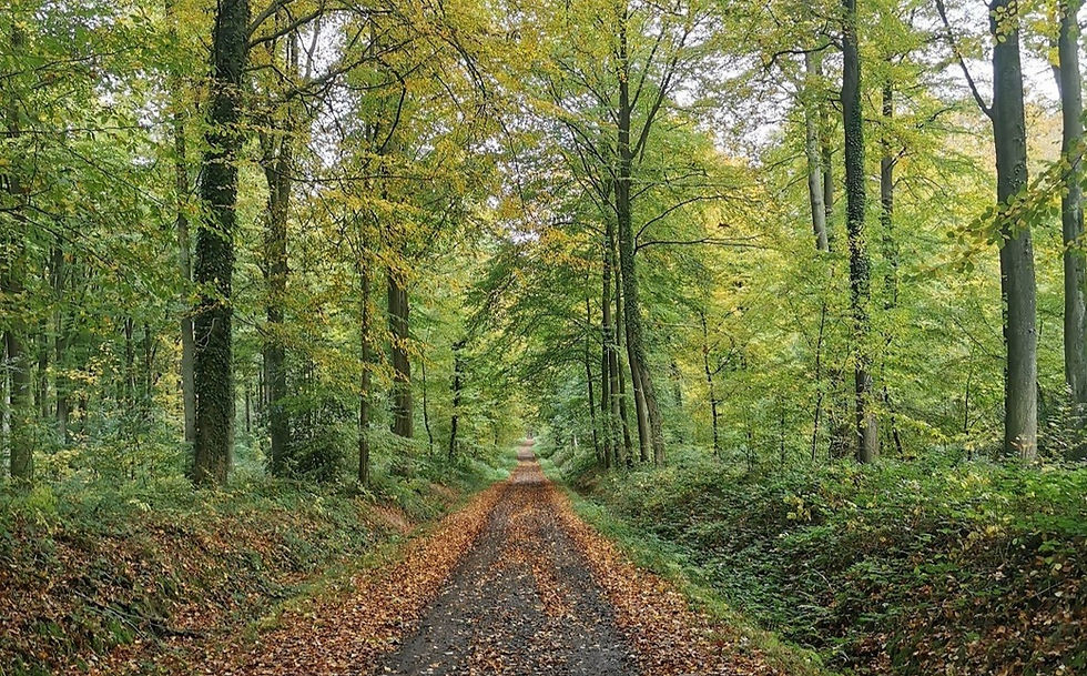 Weerwolf wandelroute 12km.