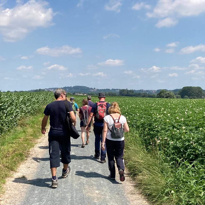 Tournee de Crème langs watermolens en dorre kouterlanden, 17km.