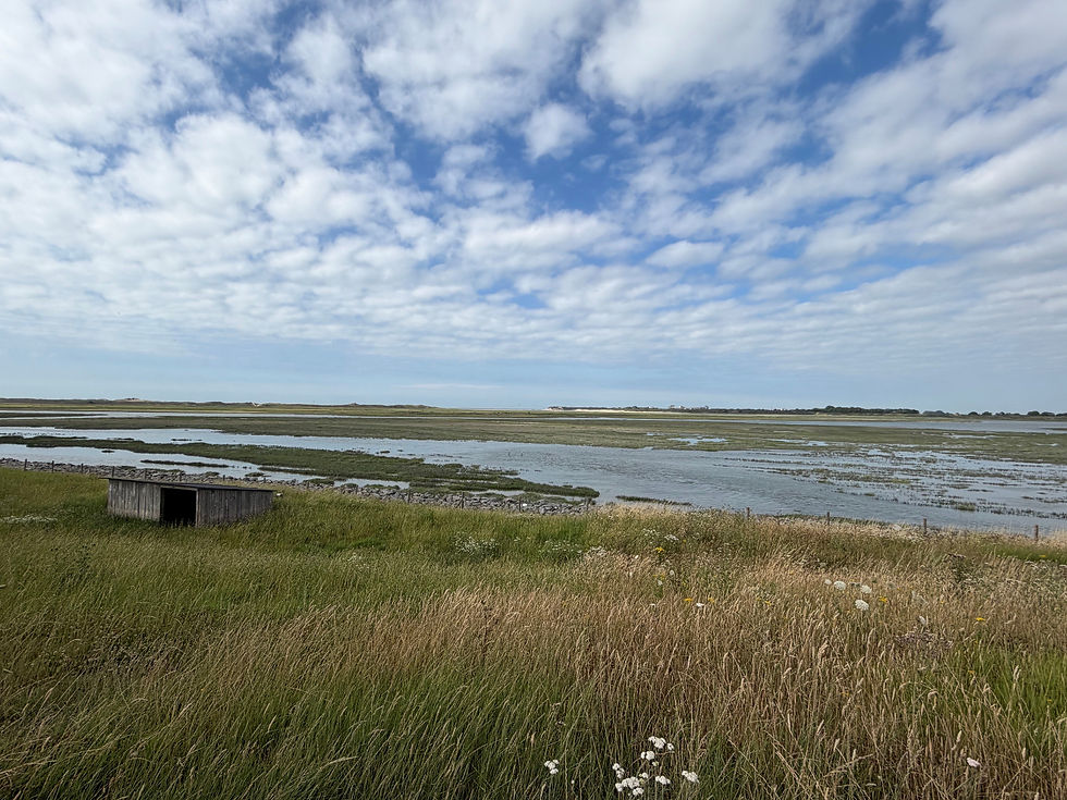 FIETSTOCHT KNOKKE - CADZAND - SLUIS - KNOKKE (35km)