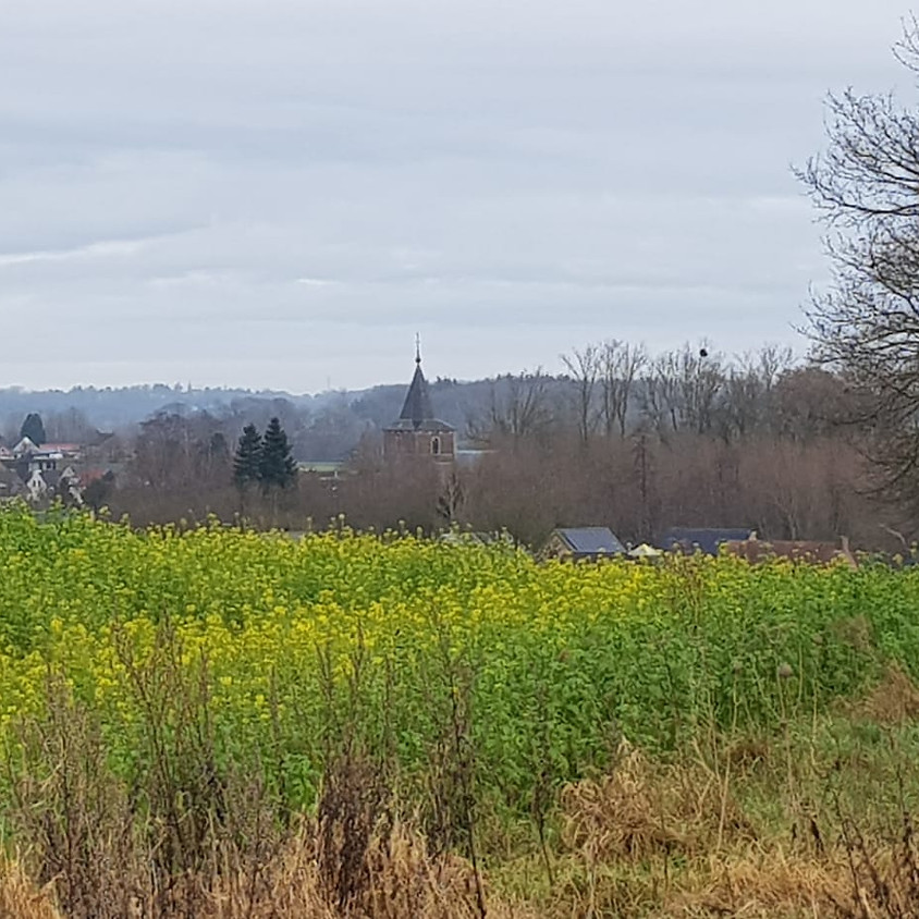 Wandelen in regio Zuid-Dijleland - 21 km.