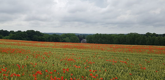 wandelen hageland11.jpg