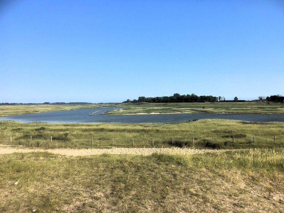 De Zwinwandelroute (12,5 km)