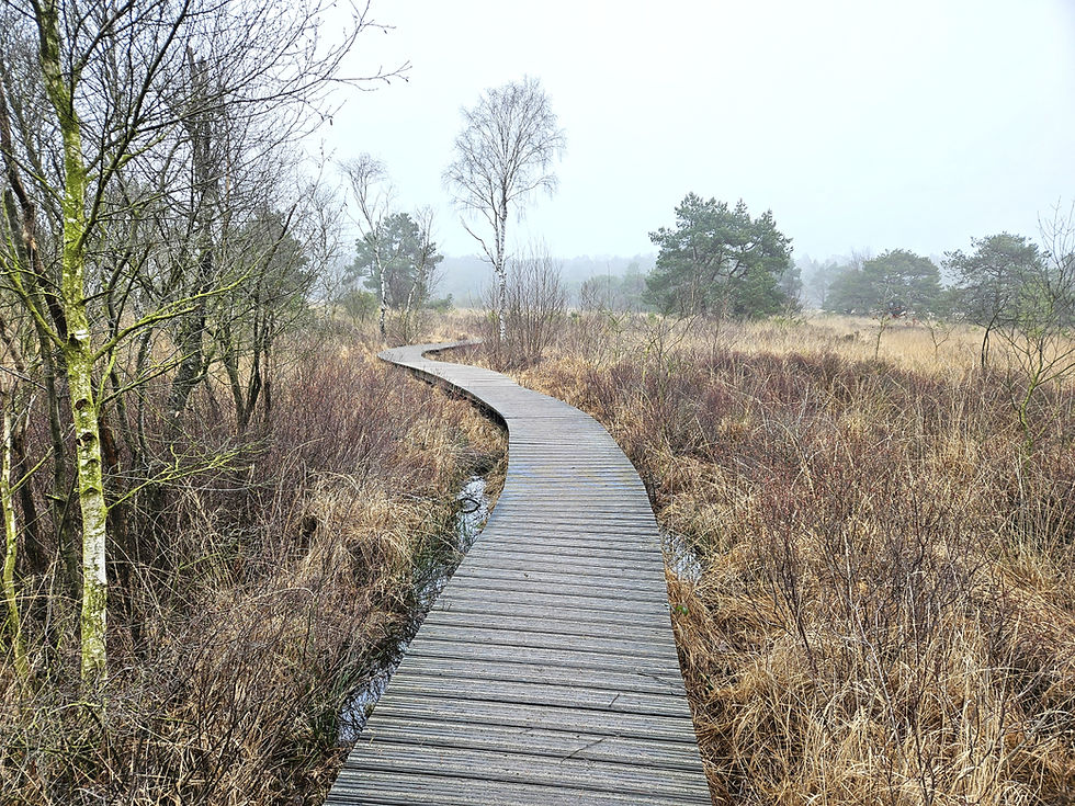 Wandeling "Grenspark De Kempen" Weebosch. 16km