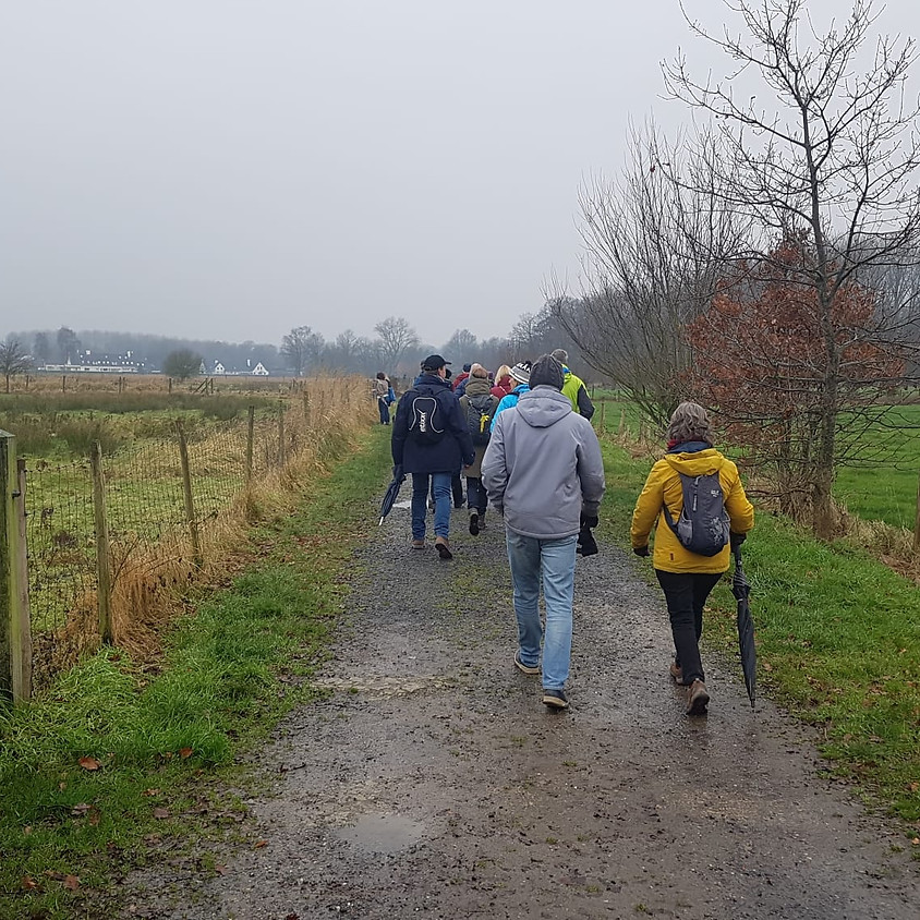 Wandeling in het militaire domein het klein Schietveld, Brasschaat, 15km.