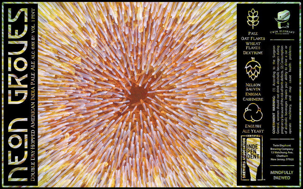 Tom Schmitt TEBC Neon groves.jpg