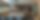 Screenshot 2023-07-01 at 2.21.56 AM.png