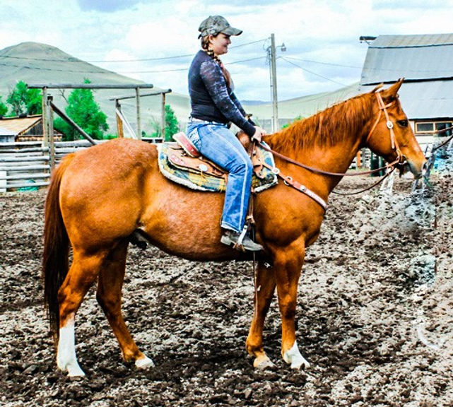 Cowtown April 2016 2_inPixio.jpg