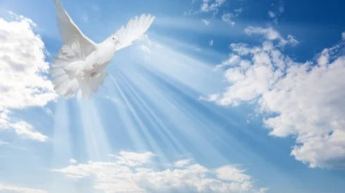 122122254-flying-white-dove-and-bright-sunbeams-on-the-background-of-blue-sky-with-fluffy-