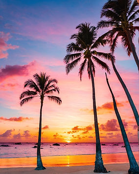 Chelsea_Peterson_Sunset_pink_orange_blue_sky_and_beach_blue_in_arub_6b413220-69f8-40bd-b41