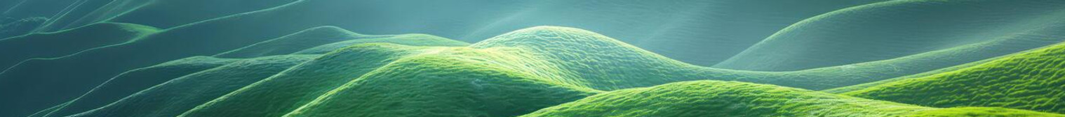 dummy cover image.jpg