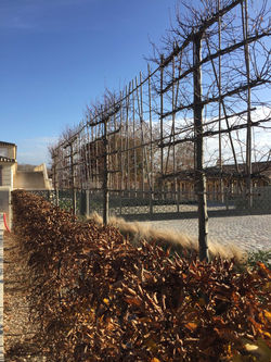 Château Marquis d'Alesme