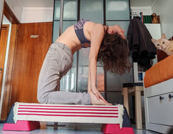 WhatsApp Image 2026-02-13 at 17.36.56