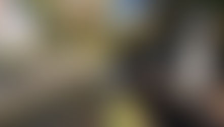 Visit Užupis Republic- district of artist in Vilnius