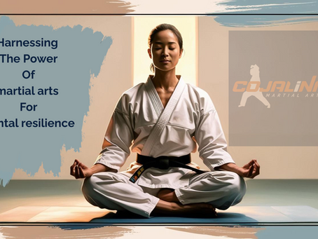 "Harnessing the Power of Martial Arts for Mental Resilience"