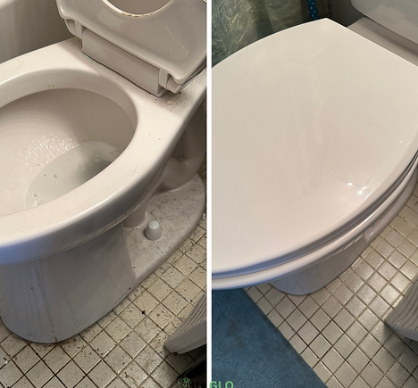 Before and After Cleaning a Toilet at a client house