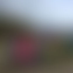 SXC2 Dunoon - REPORT