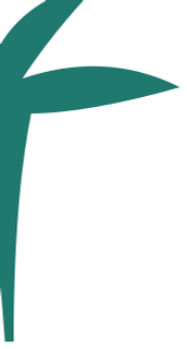 brcw-palm.png