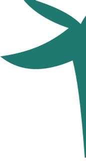brcw-palm.png