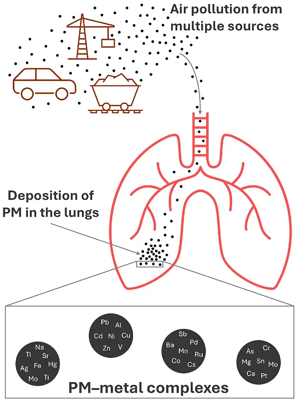 toxics-13-00788-g001.webp