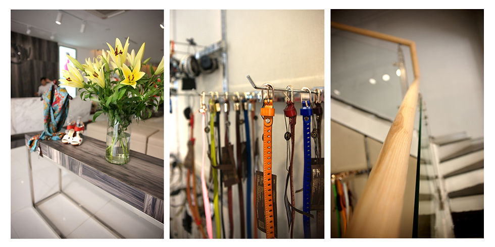 Pham Quang Duc - Ivy Moda HP