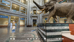 Museo de Historia Natural Virtual 🐘
