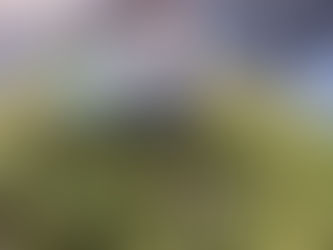 Forget me Not - Love Offering