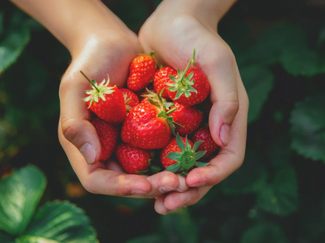 Strawberry Love Spell