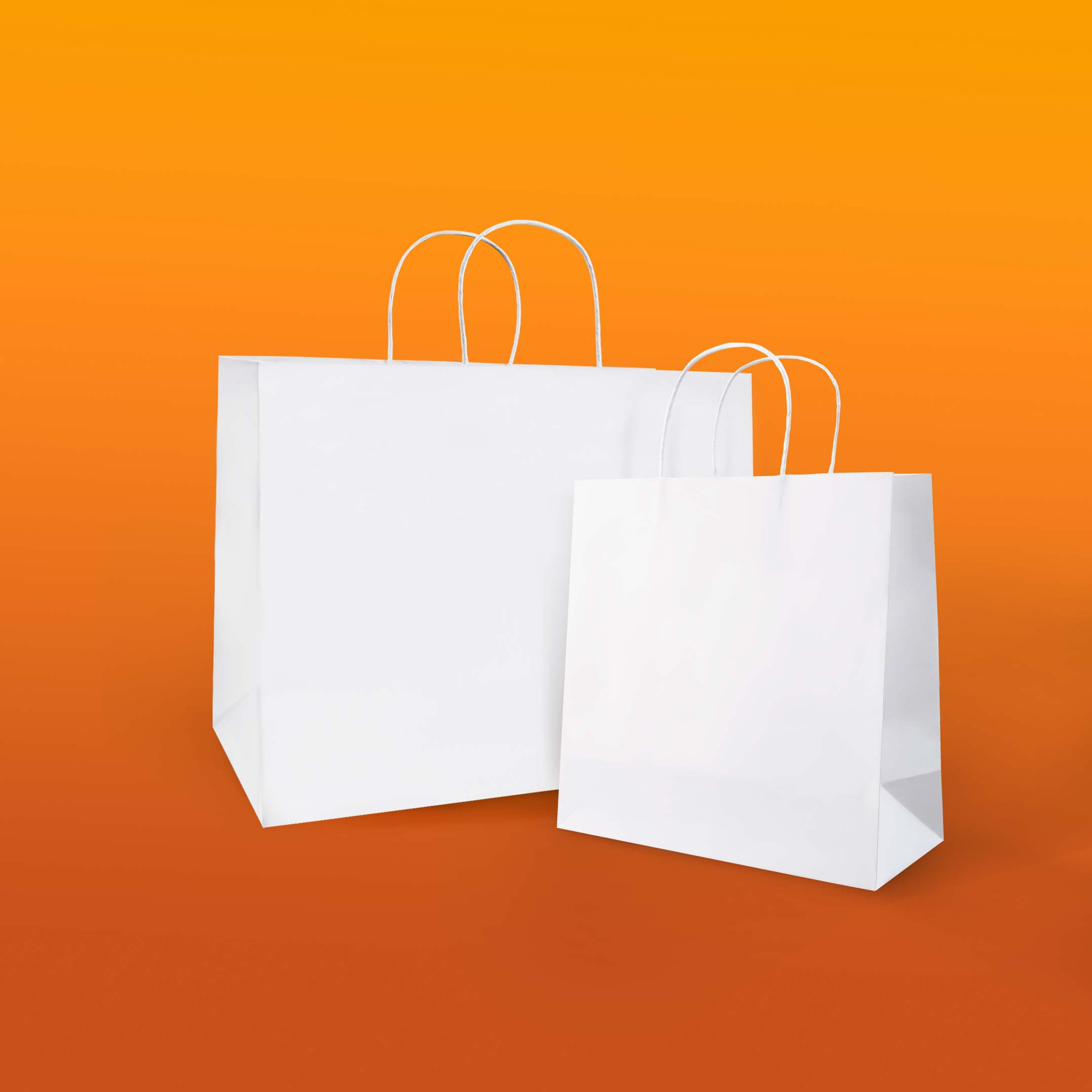 White Kraft Paper Bag