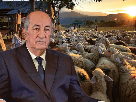 LA LOTERIE DU MOUTON EN ALGÉRIE