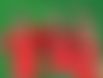 CHAN, LE MAROC DOMPTE LE SÉNÉGAL ET FILE EN FINALE