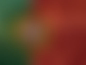 LE DRAPEAU DU PORTUGAL PORTE L’EMPREINTE DU MAROC