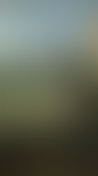 HASSAN AL-WAZZAN, LE MAROCAIN QUI A FAIT CONNAÎTRE L’AFRIQUE AU MONDE