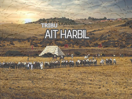 TRIBU AIT HARBIL