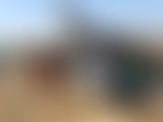 TINDOUF, ENFANTS UTILISÉS COMME ARMES DE PROPAGANDE